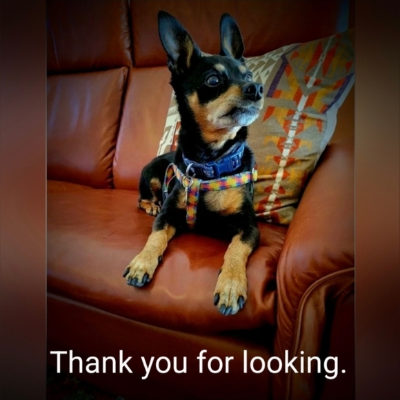 Johnny Was x Sundance Mila Embroidered Tunic Blouse Teal Blue Size Large EUC - Picture 14 of 14